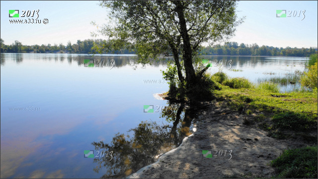 Рыбалка и купание в одном месте в городе Гусь-Хрустальный Владимирской области