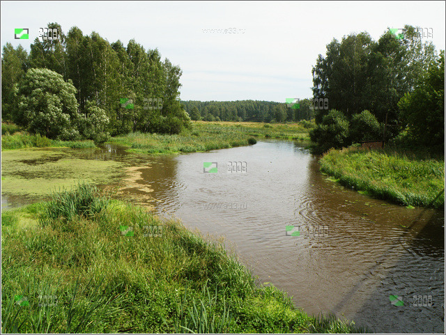 Общий вид реки Серая в городе Карабаново Александровского района Владимирской области