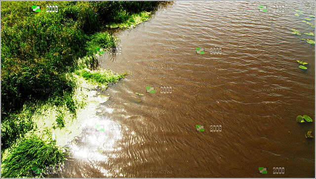 Река Серая на самом деле не серая а грязно-коричневая