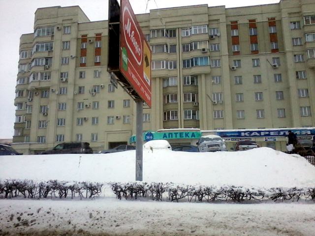 2013  , 36,  