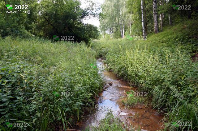 Река Родионовка в микрорайонах Юрьевец - Пиганово округа Владимир, впадает в реку Содышка