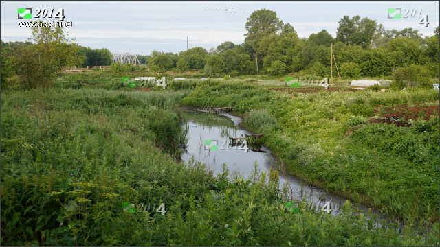 Река Гза среди огородов на улице Луговой, окраины Юрьев-Польского