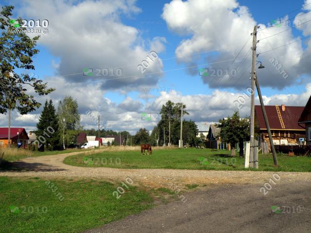 2010 село Бакшеево Александровского района Владимирской области летом