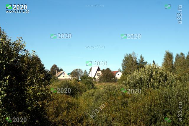 2020 Вид на деревню Николаевка Александровского района Владимирской области с юга