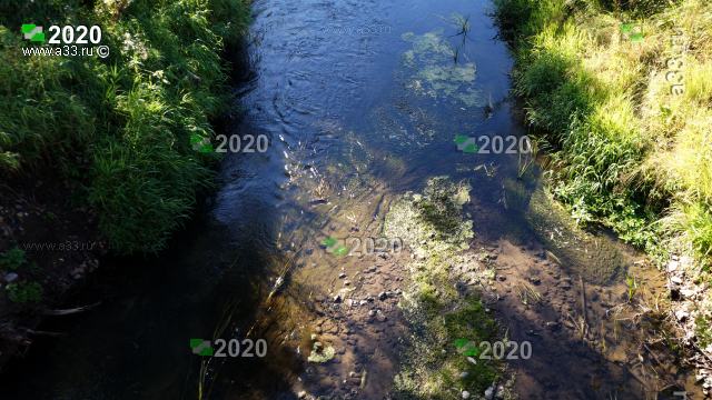 2020 Когда-то река между деревнями Каблуковой и Дураковой называлась Богона