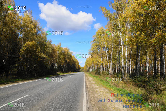 Дороги Гороховецкого района Владимирской области - фотография