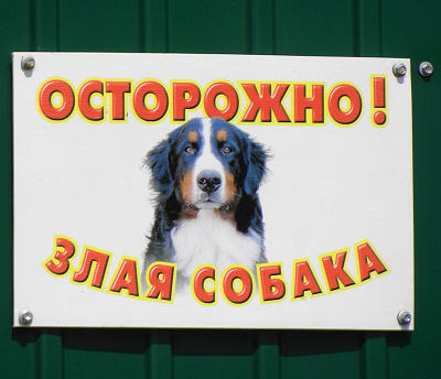 Художественный портрет злой собаки украшает ворота дома 3 по улице Первомайской в селе Фоминки Гороховецкого района Владимирской области