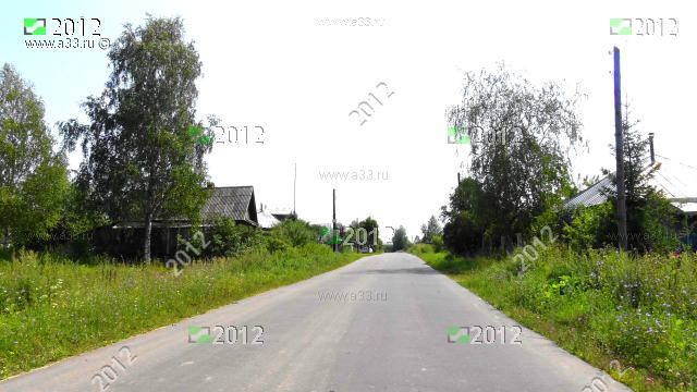 Главная и единственная улица деревни Истомино Гороховецкого района Владимирской области