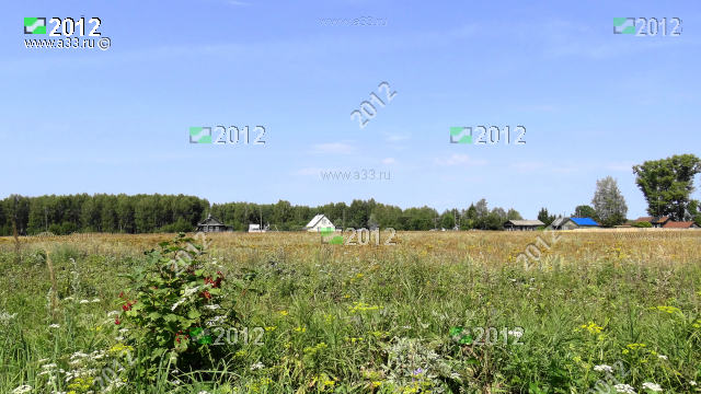 Панорама деревни Просье Гороховецкого района Владимирской области