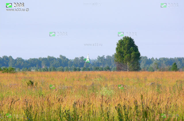 Панорама Архангельского погоста с севера не доезжая железной дороги