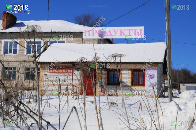 Небольшой магазин продуктов в деревне Выезд Гороховецкого района Владимирской области зимой не работает