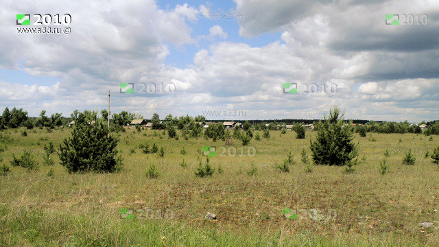 Панорама полей зарастающих подлеском в окрестностях деревни Алфёрово Гусь-Хрустального района Владимирской области
