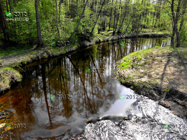 Река Судогда Гусь-Хрустального района Владимирской области петляет и образовывает красивые излучины