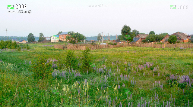 Общий вид деревни Жары Гусь-Хрустальный район Владимирская область