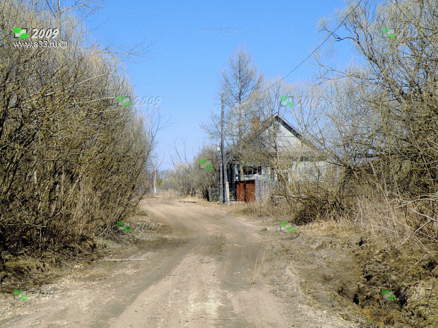Главная улица деревни Ягодино Гусь-Хрустального района Владимирской области