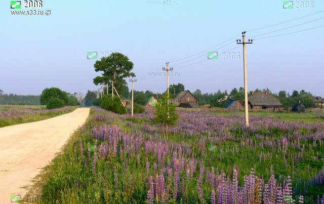 Общий вид деревни Ивановка Гусь-Хрустального района Владимирской области на въезде