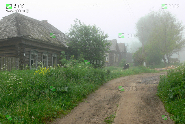 Главная улица села Крюково Гусь-Хрустального района Владимирской области утром в тумане