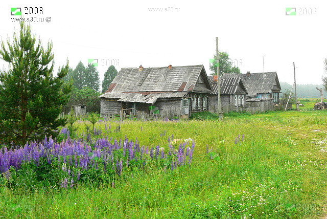 Типичная жилая застройка деревни Лазаревка Гусь-Хрустального райна Владимирской области фотография