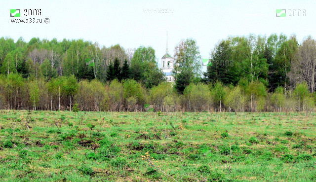 Панорама местности на подъезде к Николополью Гусь-Хрустального района Владимирской области
