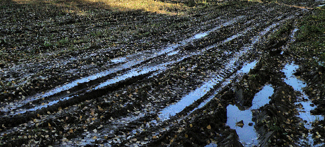 Лужицы на пашне в урочище Покров Гусь-Хрустального района Владимирской области продернулись первым осенним ледком