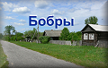 Бобры