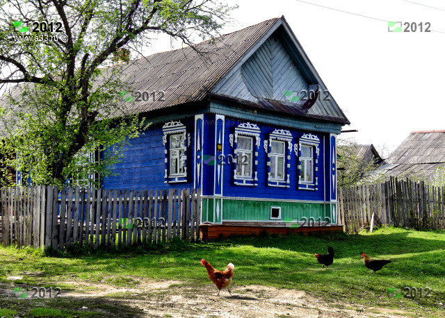 Добротный дом в деревне с курочками в хозяйстве деревня Толстиково Гусь-Хрустального района Владимирской области