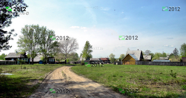 Общий вид деревни Толстиково Гусь-Хрустального района Владимирской области с юга