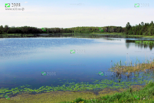 Река Колпь в окрестностях села Заколпье Гусь-Хрустального района Владимирской области