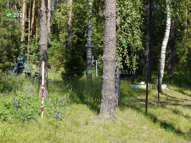 2021 Скромная общественная детская площадка СНТ Аэлита Киржачского района Владимирской области прячется среди деревьев