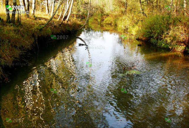 2007 Река Большая Дубна в лесах у деревни Бынино Киржачского района Владимирской области