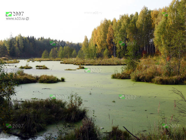 2007 Река Черник у деревни Дворищи Киржачского района Владимирской области