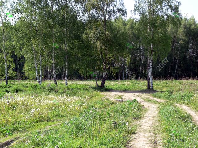 2007 Пешеходная дорожка в лес у деревни Фетиново Киржачского района Владимирской области