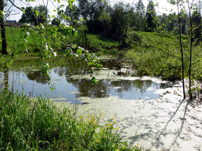 Запруда на реке Волюшка у деревни Фетиново Киржачского района Владимирской области