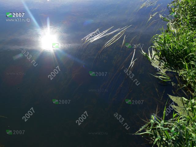 2007 Солнечное отражение в водах реки Шерна у села Филипповское Киржачского района Владимирской области