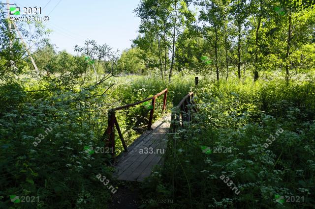 2021 Пешеходный мост через ручей между СНТ Костешево и СНТ Аэлита Киржачского района Владимирской области