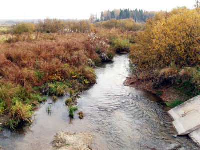 вид на реку Шорна с моста вверх по течению у деревни Скоморохово Киржачского района Владимирской области