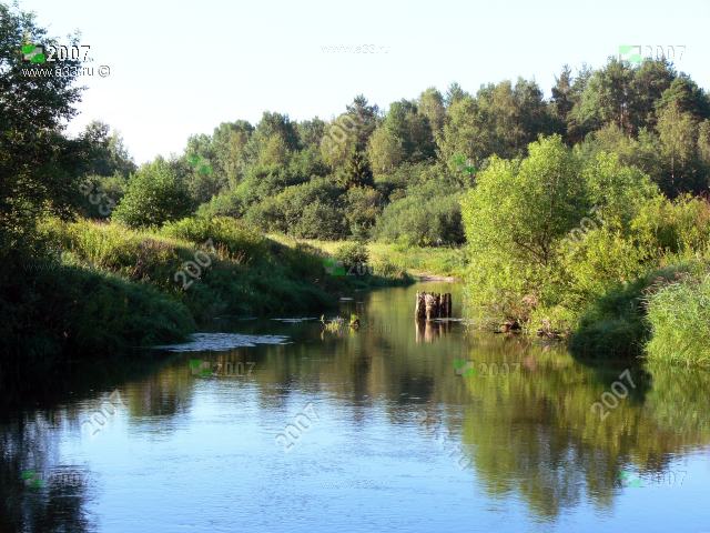 2007 Остатки старого деревянного моста через реку Большой Киржач у деревни Трусково Киржачского района Владимирской области