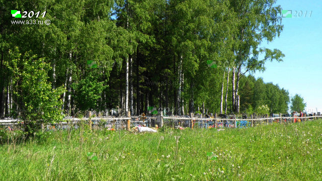 Кладбище в рабочем посёлке Бавлены Кольчугинского района