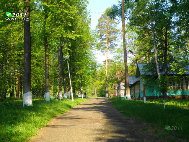 Главная аллея пионерлагеря Кудрявцево Кольчугинского района Владимирской области