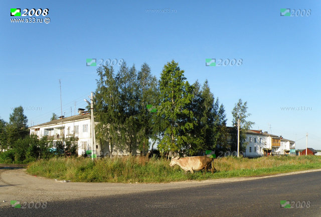 Улица Первая в деревне Павловка Кольчугинского района Владимирской области застроена панельными двухэтажными домами