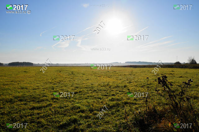 Солнечное утро в полях у деревни Павловка Кольчугинского района Владимирской области
