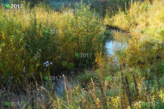 Река Медведка в Кольчугинском районе Владимирской области