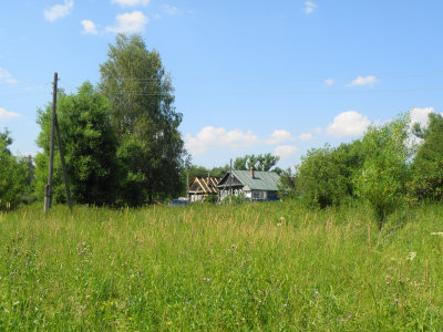 Дома в деревне Тютьково Кольчугинского района Владимирской области стоят довольно свободно