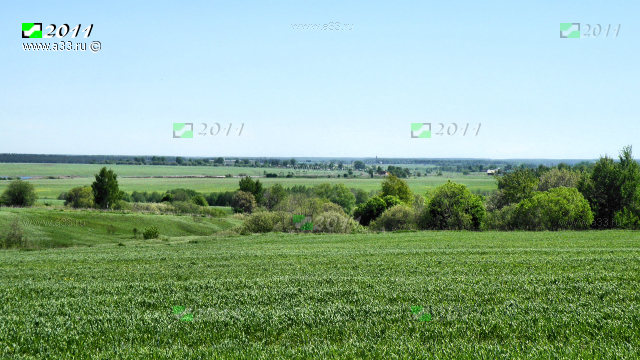 Характерный природный пейзаж в окрестностях урочища Зекрово Кольчугинского района Владимирской области