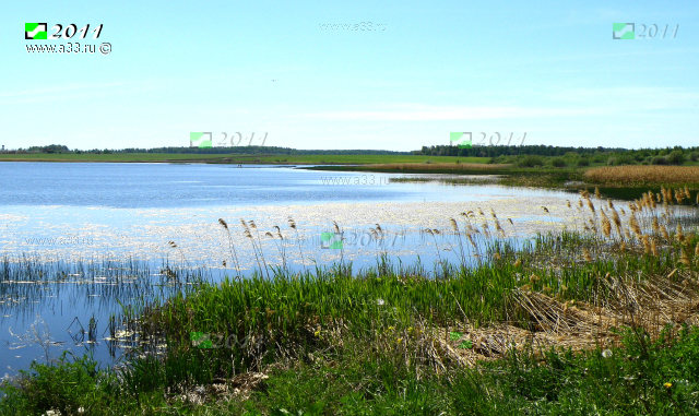 Водохранилище на реке Сега Кольчугинского района Владимирской области
