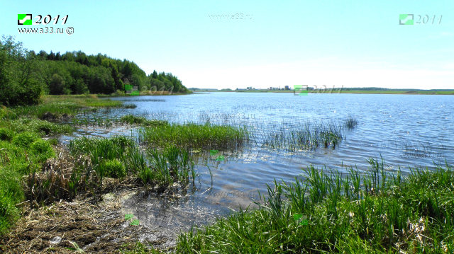 Восточный берег водохранилища на реке Сега Кольчугинского района Владимирской области