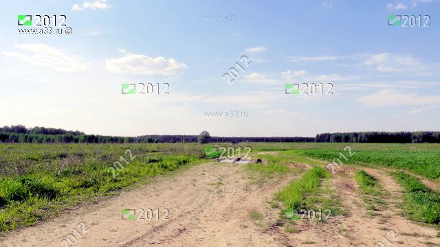 2012 Поле в окрестностях урочища Яковлево Ковровского района Владимирской области