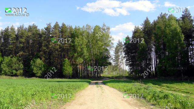 2012 урочище Яковлево Ковровского района Владимирской области находится в окружении лесов