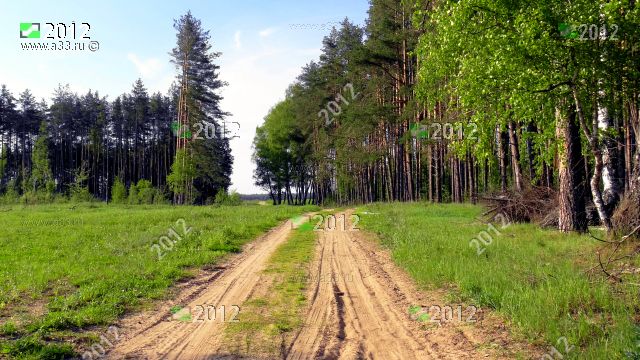 2012 Песчаная дорога в урочище Яковлево Ковровского района Владимирской области