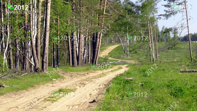 2012 Дорога вдоль кромки лесной вырубки; урочище Яковлево Ковровского района Владимирской области